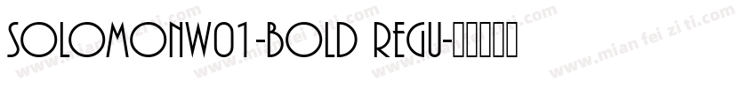SolomonW01-Bold Regu字体转换